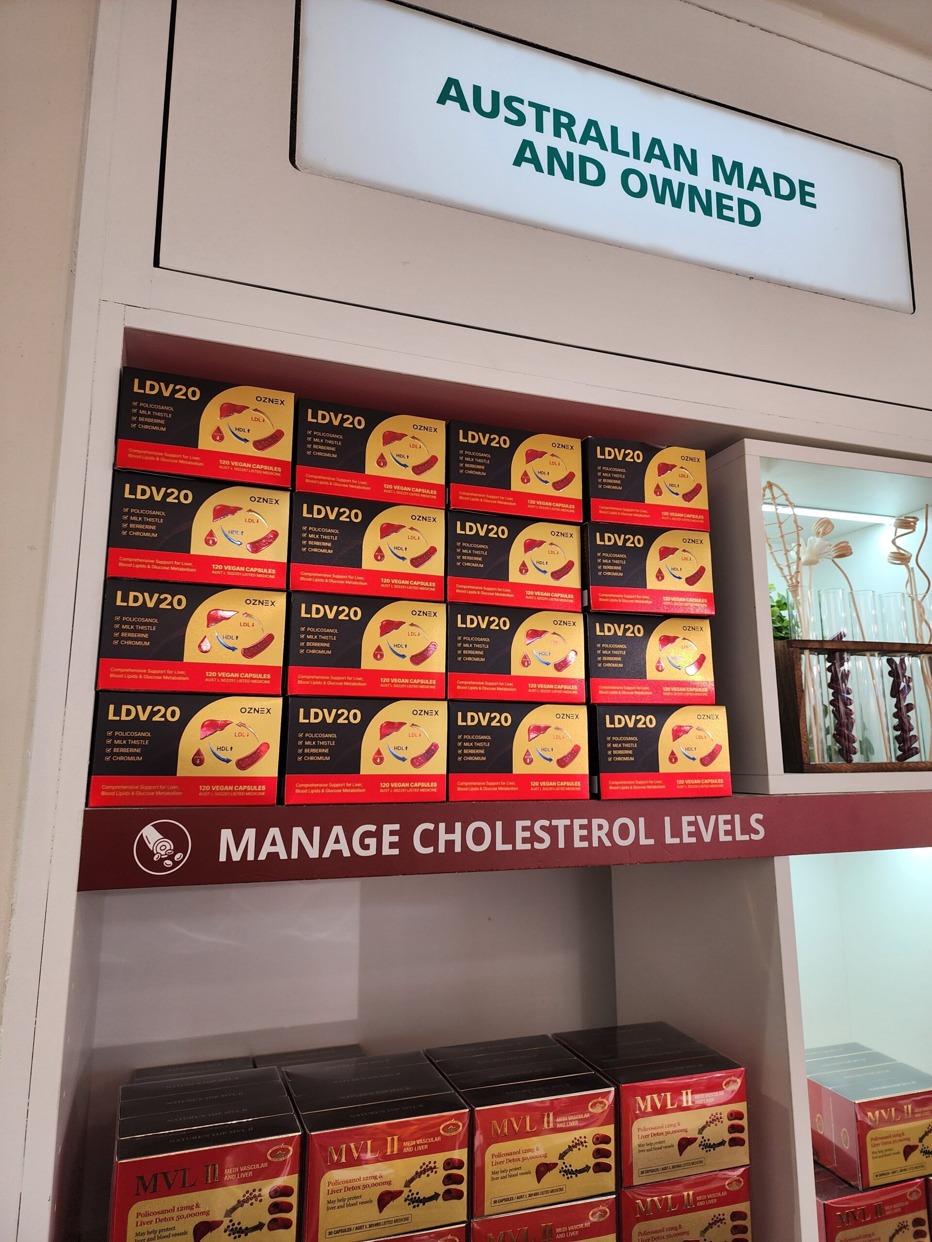 LDV20 부모님 선물